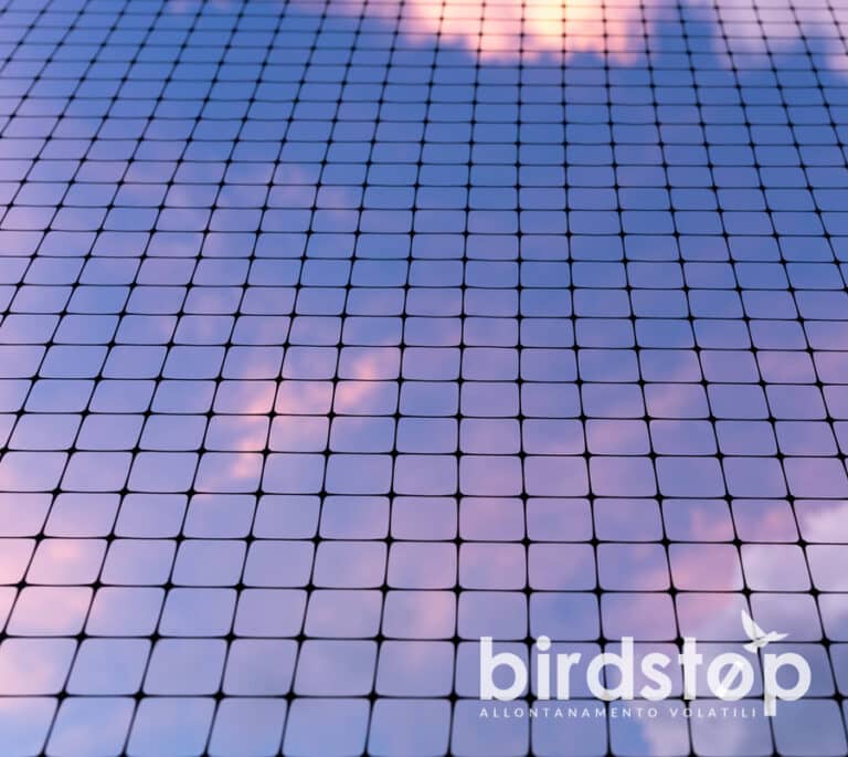 Rete anti volatili BirdNet vista in controluce contro il cielo