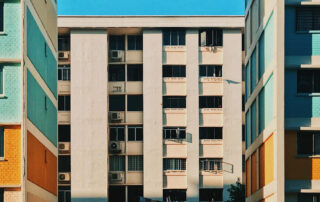 A chi rivolgersi come denunciare la presenza di piccioni nel condominio