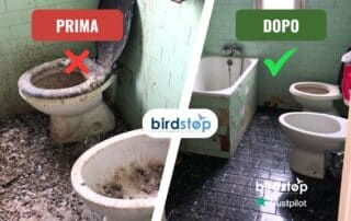 Ditta specializzata nella bonifica e pulizia guano