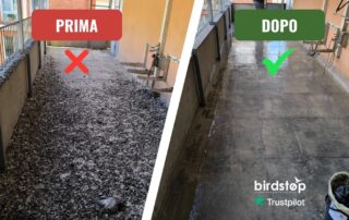Pulizia Guano di piccioni da tetti, balconi e terrazzi professionale