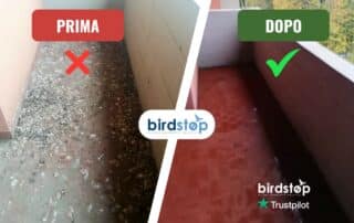 Pulizia Guano piccioni da terrazzi e balconi