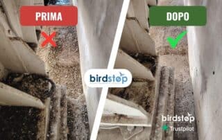 Pulizia Guano di piccioni Milano da tetti, balconi e terrazzi professionale