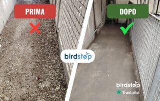 Pulizia Guano di piccioni Roma da tetti, balconi e terrazzi professionale