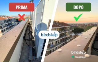 Rimozione e Pulizia smaltimento guano a norma di legge