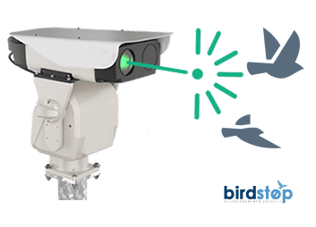 Dissuasore Allontanamento Volatili Laser