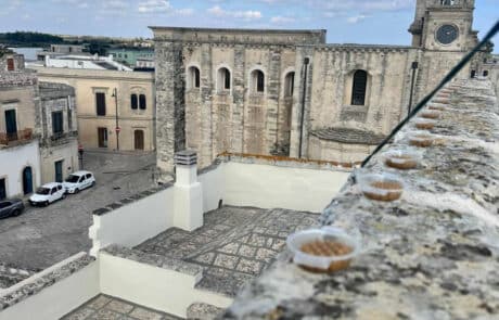 allontanamento-piccioni-beni-culturali-centro-storico-minervino Dissuasori piccioni basso impatto estetico tutela del patrimonio culturale