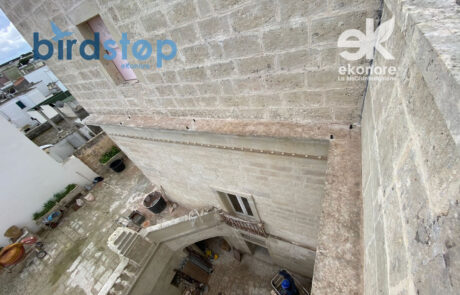 Dissuasori anti piccioni invisibile per la tutela dei beni culturali a lecce Dissuasori anti piccioni invisibile per la tutela dei beni culturali a lecce