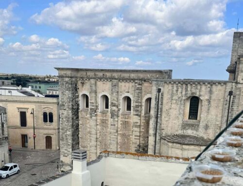 Caso Studio Allontanamento Piccioni a Minervino di Lecce