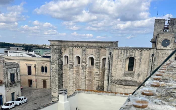 Allontanamento piccioni palazzo storico minervino