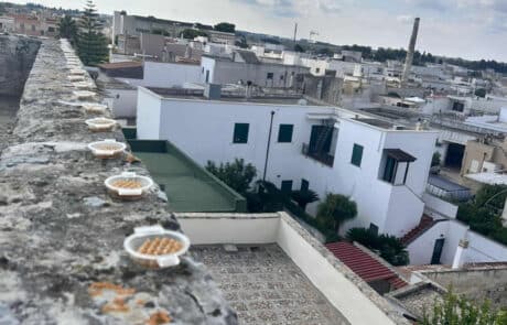 allontanamento-volatili-patrimonio-culturale Dissuasori piccioni basso impatto estetico tutela del patrimonio culturale