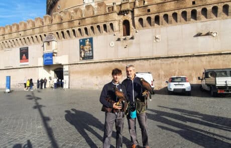 falconeria-allontanamento-piccioni-roma-castel-santangelo Ekonore Birdstop Falconeria allontanamento volatili