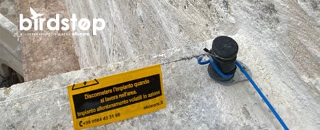 Installazione dissuasore anti piccioni flyaway visivo olfattivo a minervino lecce Installazione dissuasore anti piccioni flyaway visivo olfattivo a minervino lecce