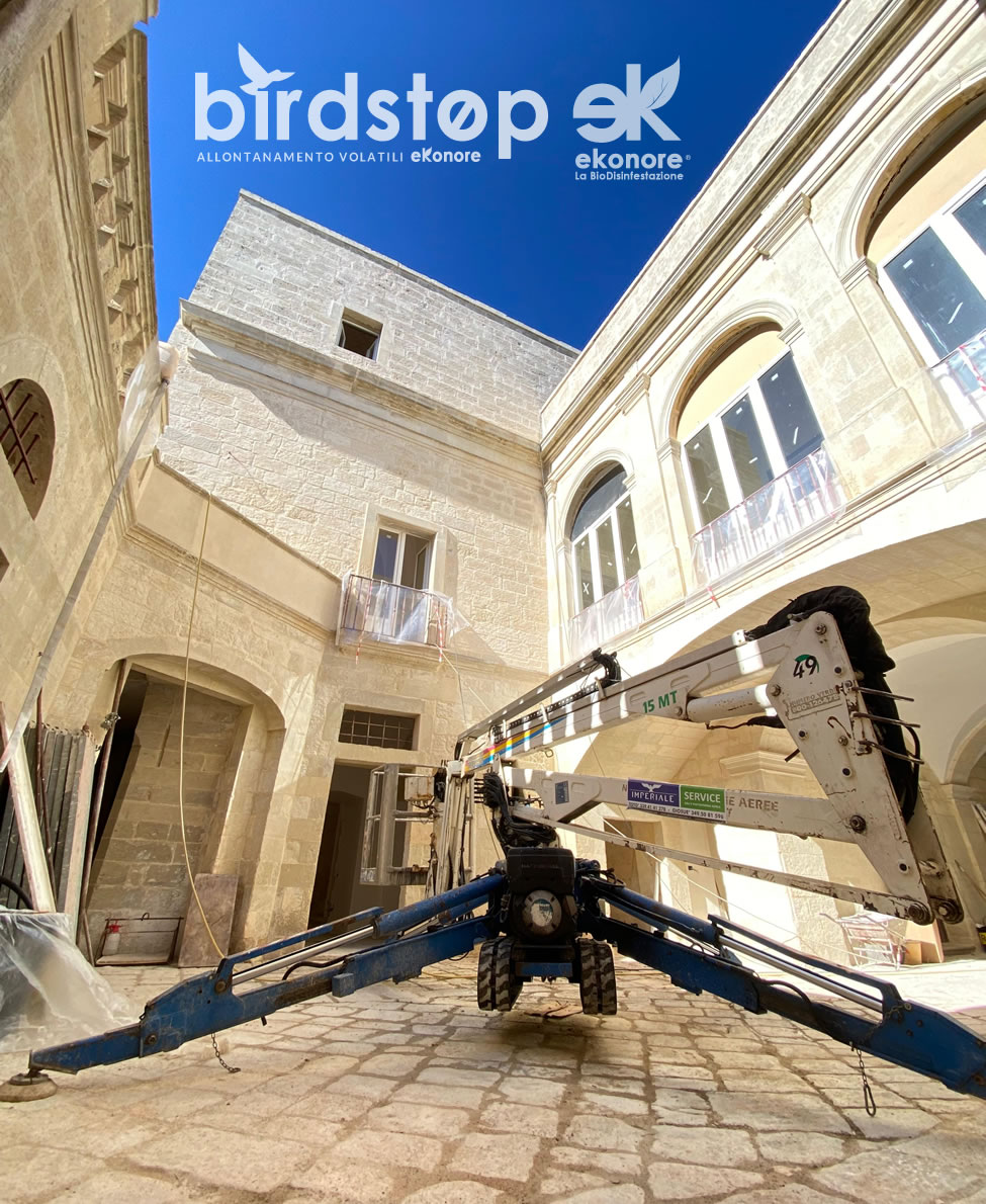 Pulizia Guano Disinfestazione Piccioni da palazzo Storico Culturale a Lecce Pulizia Guano Disinfestazione Piccioni da palazzo Storico Culturale a Lecce