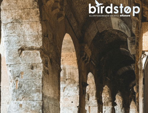 Volatili su monumenti e aree archeologiche: dove si interviene, e perché non dove sembra