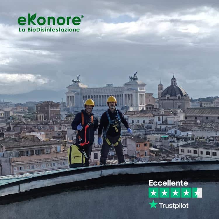 Tecnici Birdstop con imbracatura da lavoro in quota sulla cupola del Pantheon durante l’intervento