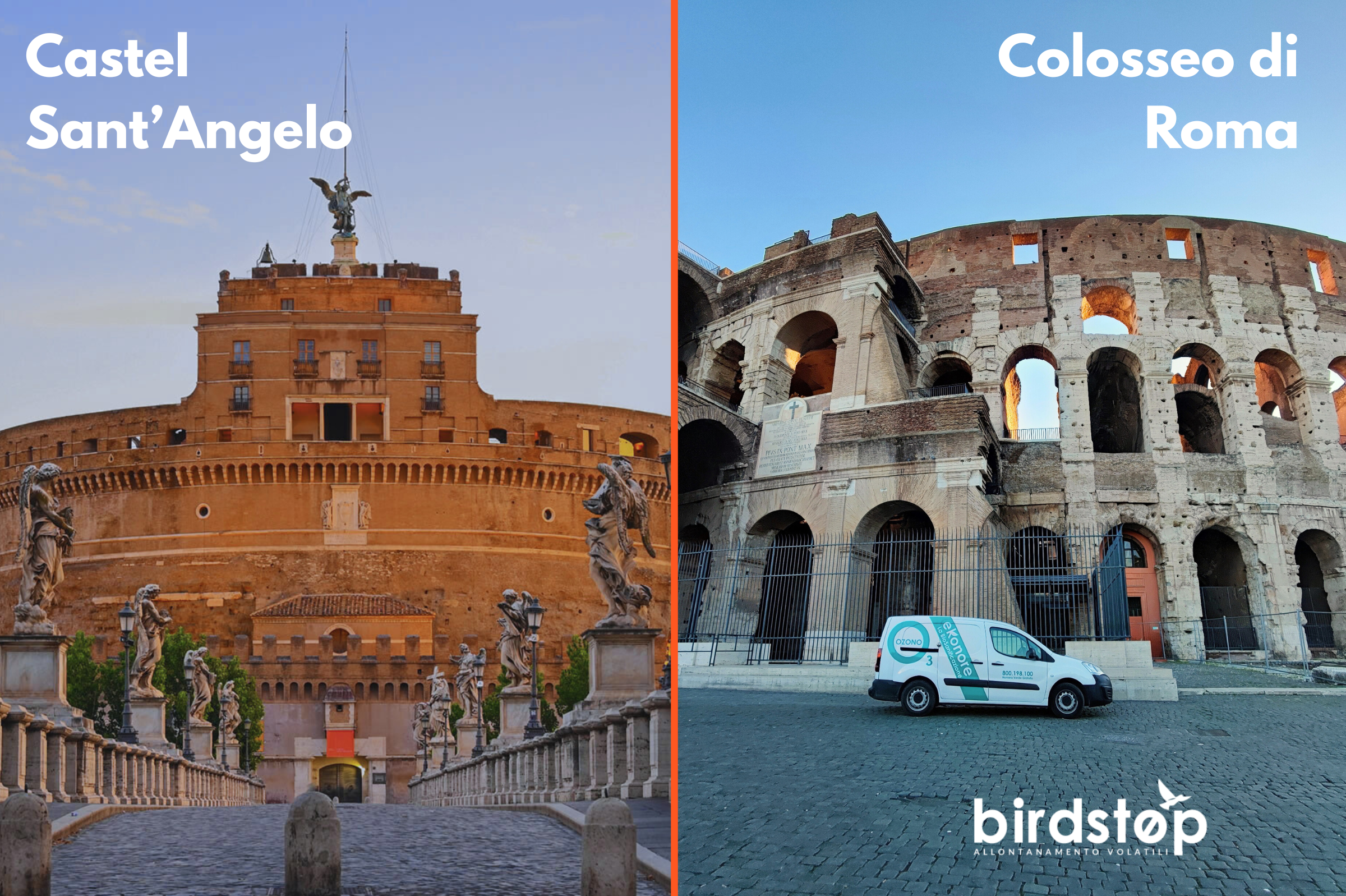 Intervento allontanamento piccioni ai beni culturali Guano dei piccioni, rischi, disagi e malattie, come liberarsene in sicurezza