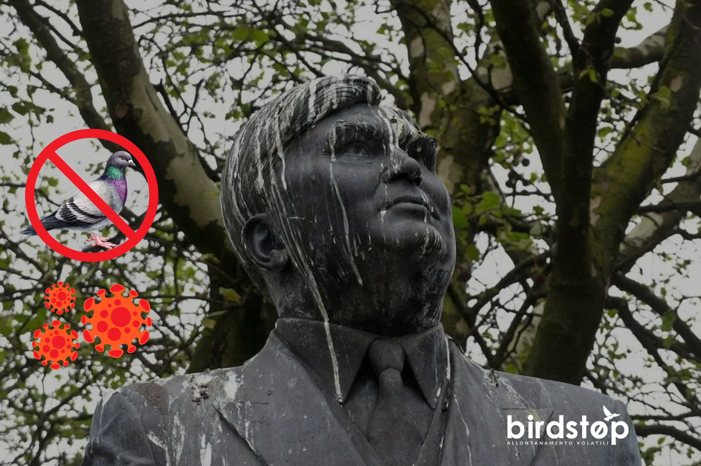 beni culturali problema Guano Guano dei piccioni, rischi, disagi e malattie, come liberarsene in sicurezza