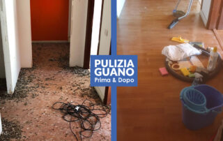 bonifica-guano-dei-piccioni-bologna Pulizia guano bonifica professionale escrementi piccioni