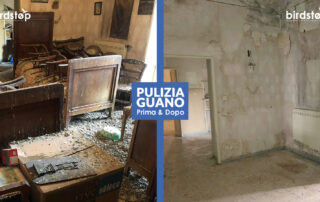 bonifica-pulizia-guano-piccioni-bologna-1 Bonifica guano escrementi uccelli e piccioni