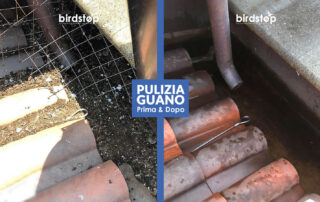 bonifica-pulizia-guano-piccioni-bologna-4 Bonifica pulizia guano da tetti e balconi