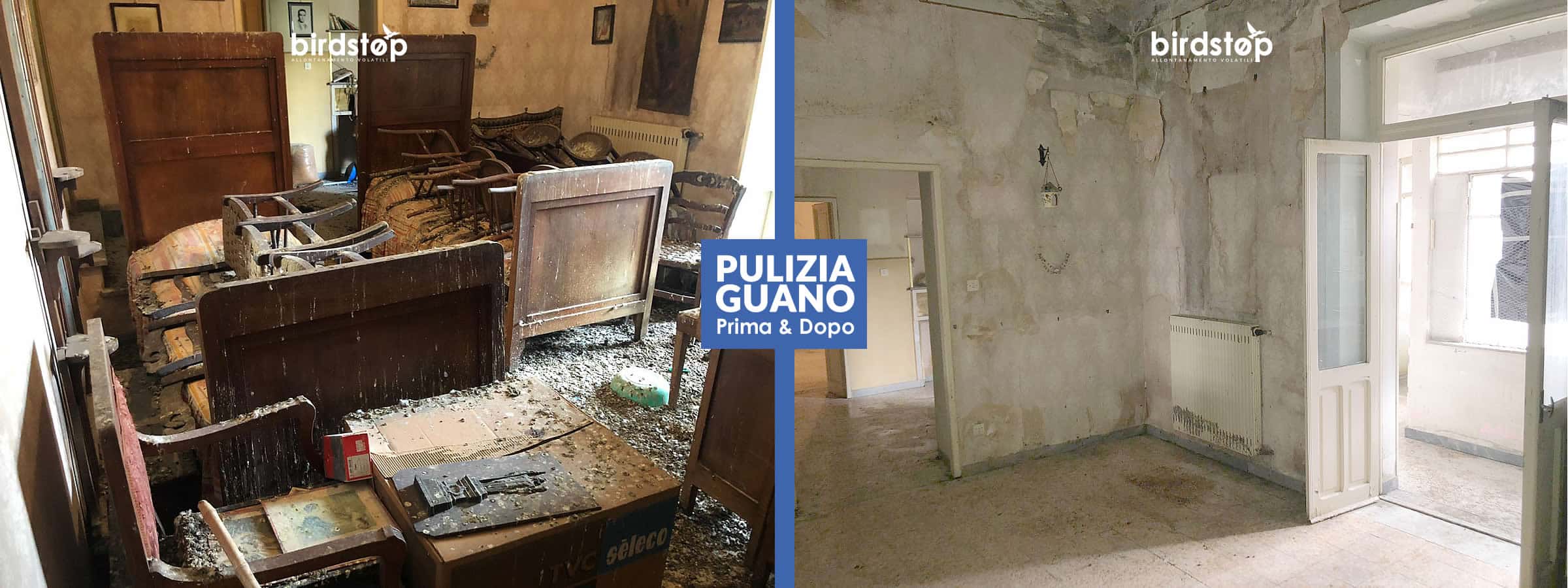 Intervento di bonifica del guano in corso su una superficie esterna, con il materiale rimosso e raccolto