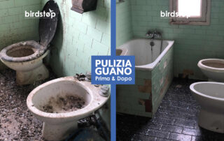 bonifica-smaltimento-guano-piccioni-bologna-2 Bonifica pulizia guano da edifici abbandonati