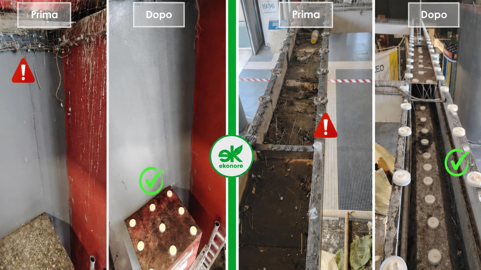 Banchina della metropolitana di Roma prima e dopo l’intervento di allontanamento volatili