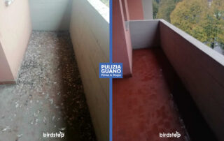 pulizia-guano-piccioni-terrazzo-balcone-bologna Pulizia guano terrazzi e balconi