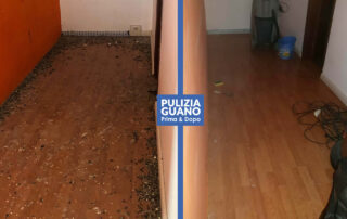 pulizia-smaltimento-guano-bologna Pulizia guano azienda specializzata e certificata