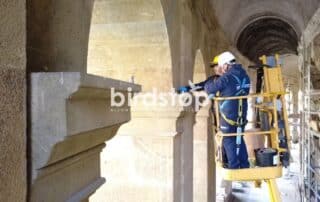 Operatori su piattaforma durante installazione sistemi anti-piccioni nel Teatro di Marcello.