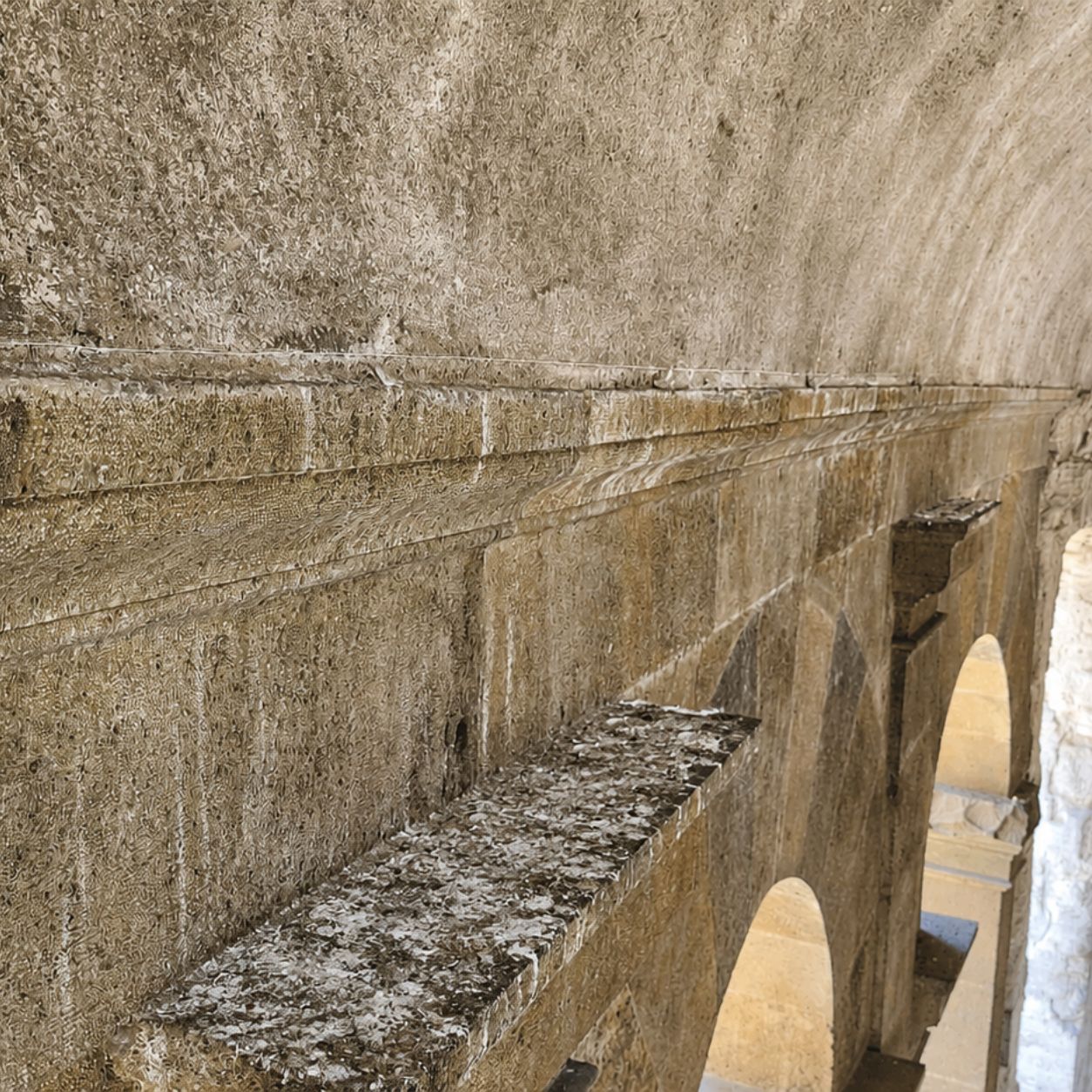 Cornicione monumentale in pietra ricoperto da uno strato spesso di guano prima dell’intervento