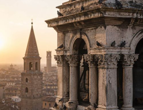 Piccioni su chiese e campanili: cosa si può chiudere, e cosa si può solo dissuadere