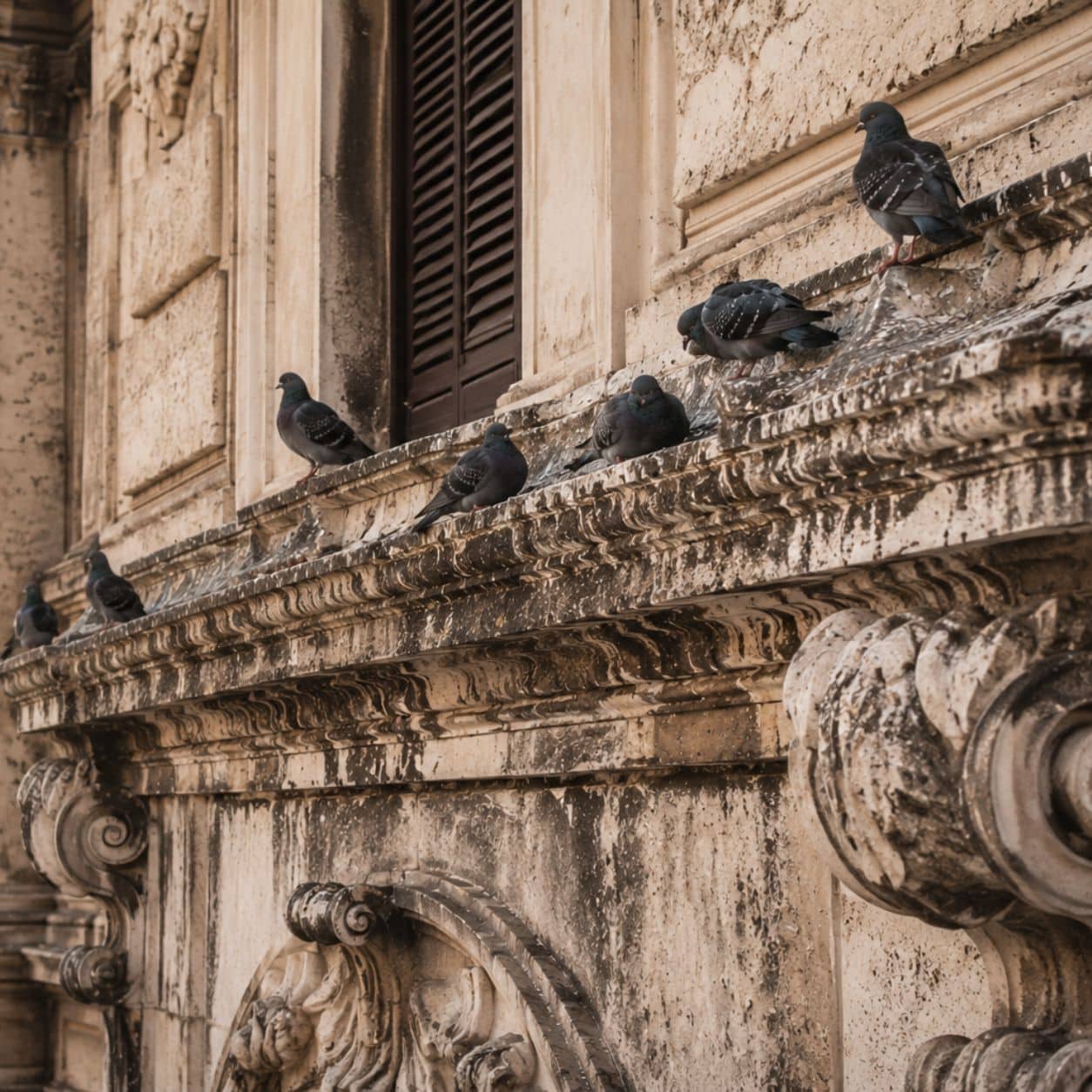 Facciata in pietra chiara di un edificio storico con cornici modanate e tracce scure di sporco lungo le superfici verticali