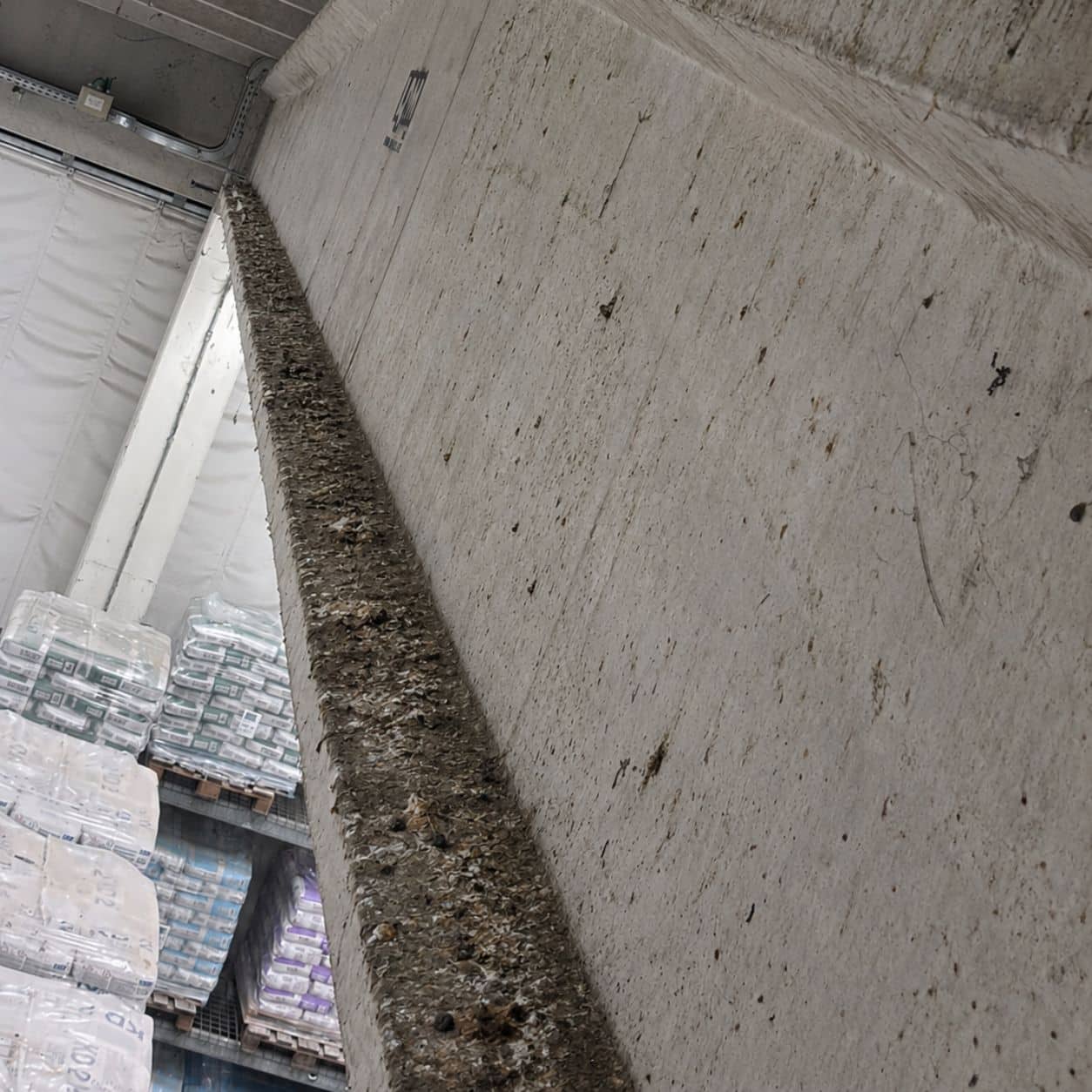 Cordolo in cemento in quota dentro un capannone, con colate di guano lungo tutto il filo e bancali di bottiglie d’acqua stoccati sotto