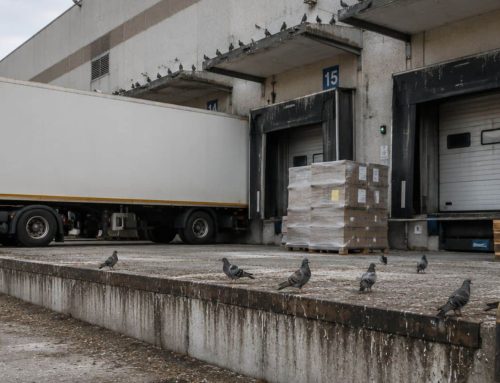 Volatili nell’industria alimentare: HACCP, punti critici e come superare gli audit
