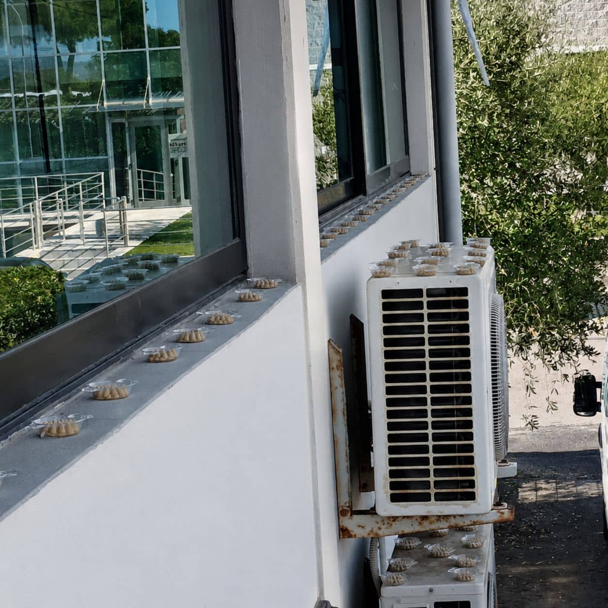 Davanzale di una finestra con dissuasori installati e, subito accanto, l’unità esterna del climatizzatore fissata alla parete