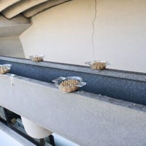 Cornice di facciata protetta con le coppette dopo la pulizia