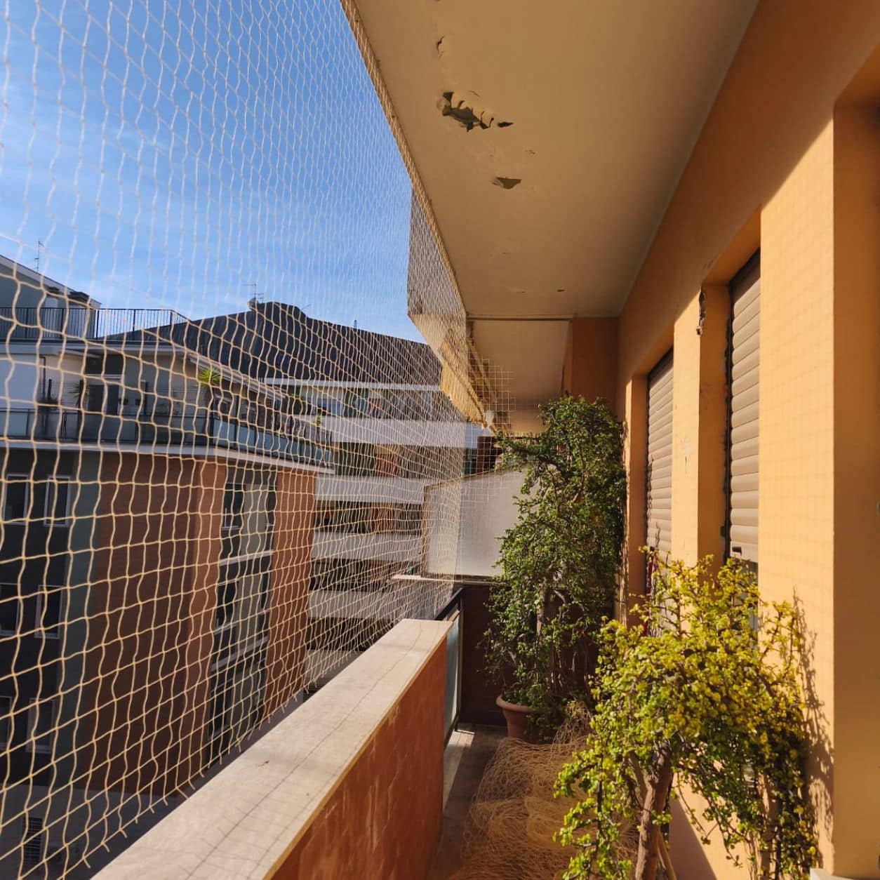 Rete anti volatili su una loggia con serramenti e tapparelle