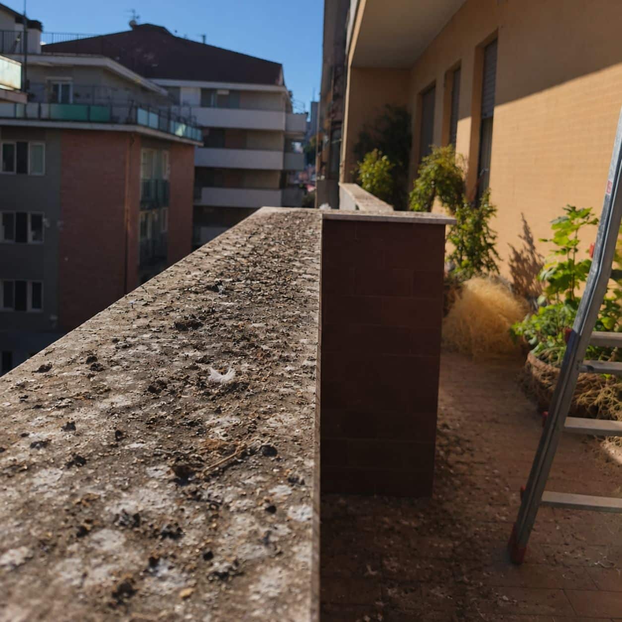 Parapetto di un terrazzo condominiale incrostato di guano, prima dell’intervento