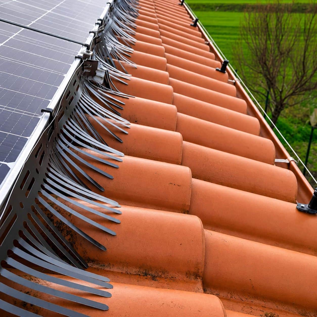 Barriera BirdSun sul perimetro di moduli fotovoltaici installati su un tetto in coppi
