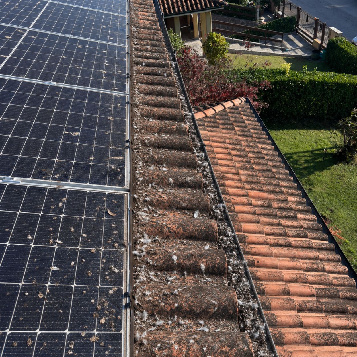 Tetto in tegole con moduli fotovoltaici, guano sulle celle e materiale accumulato lungo la linea di gronda
