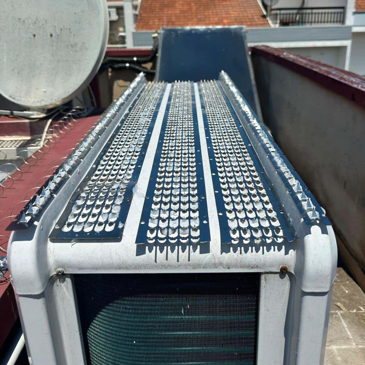 Dissuasori BirdTikol installati in continuità sul colmo di un tetto