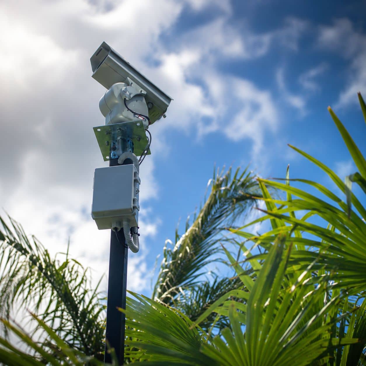 Dissuasore BirdLaser AI montato su palo, in esterno, per la copertura di aree estese