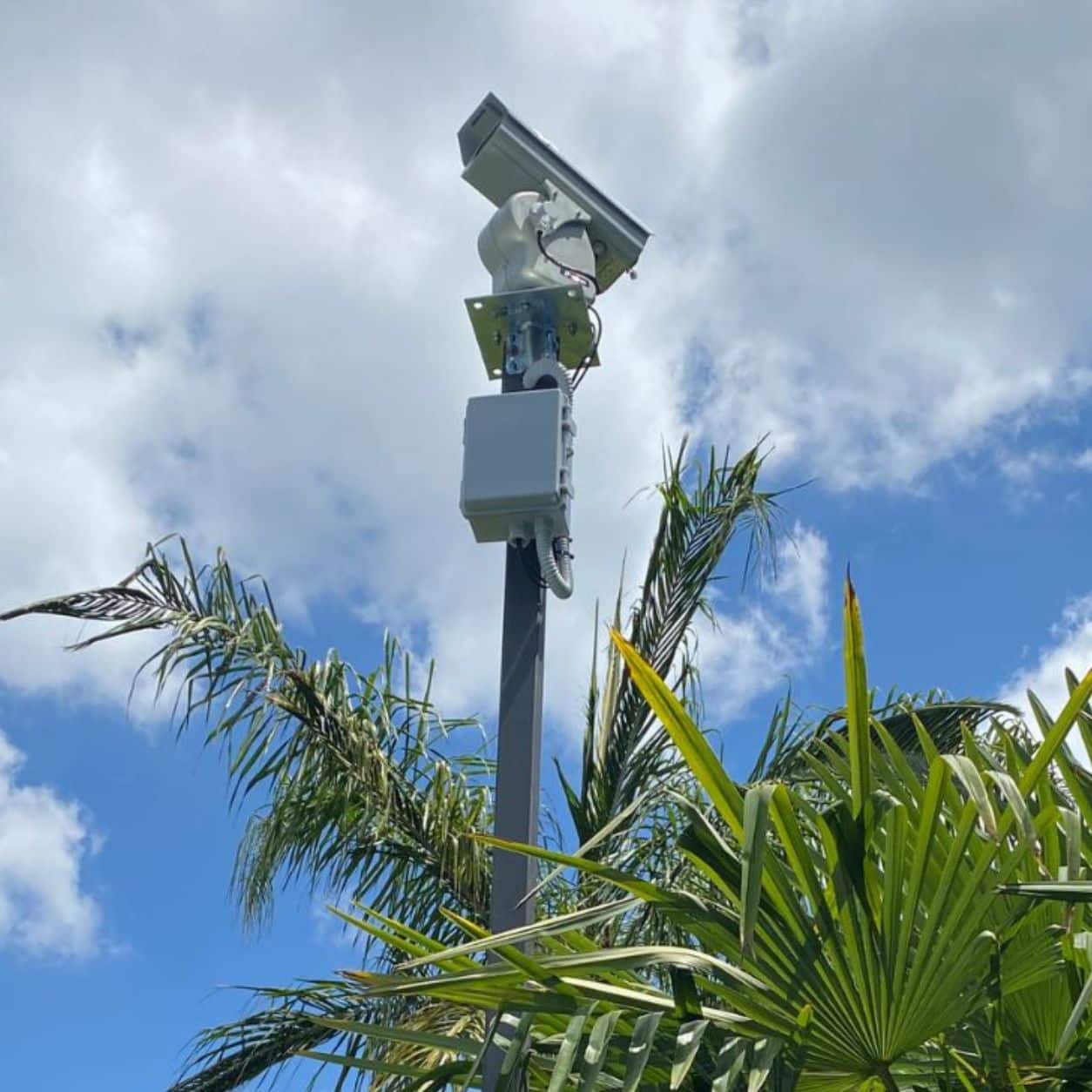 Unità BirdLaser AI con quadro di alimentazione montata in cima a un palo, all’aperto