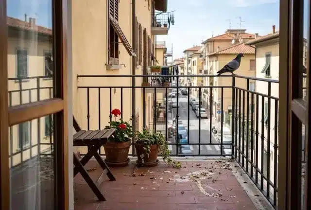 Balcone privato di un appartamento con un colombo sulla ringhiera e tracce di guano sul pavimento