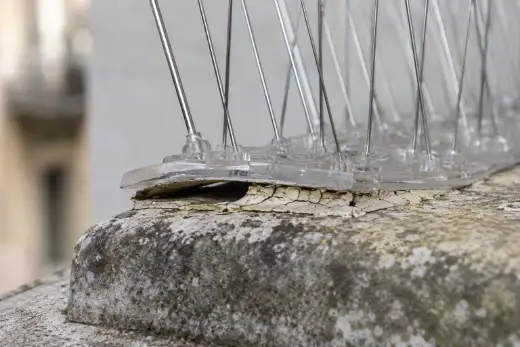 Base in policarbonato di una barra di dissuasori ad aghi sollevata dal cornicione in pietra, con il sigillante secco e distaccato