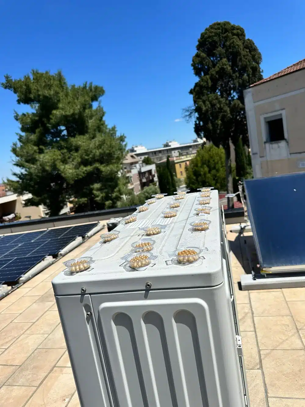 Coppette di gel BirdFire allineate sul coperchio di un armadio tecnico in copertura