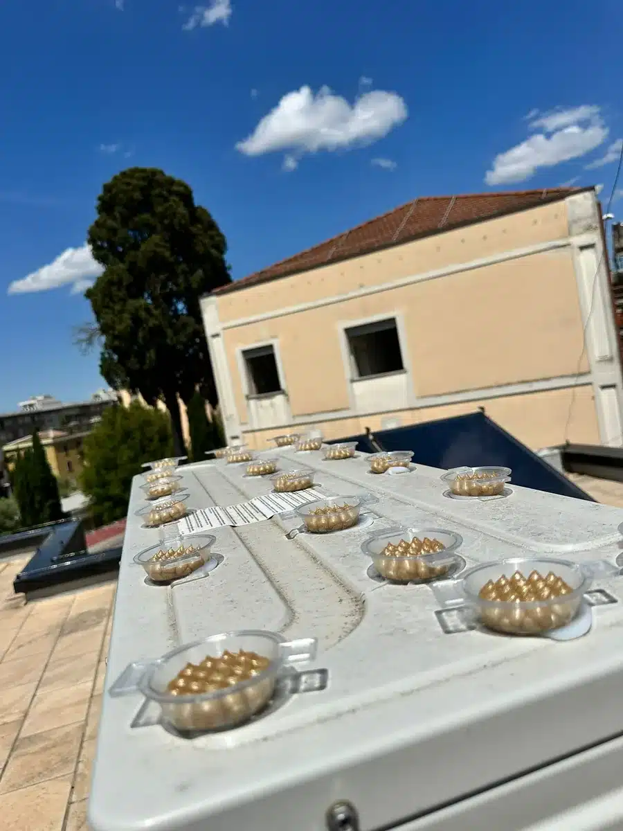 File di isolatori ceramici del sistema FlyAway fissati sul coprimuro di una copertura