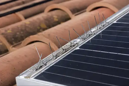 Dissuasori a spillo incollati sul bordo di un pannello fotovoltaico su tetto in tegole