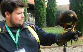 Falconiere Birdstop con il rapace sul guanto nel cimitero di Corsico